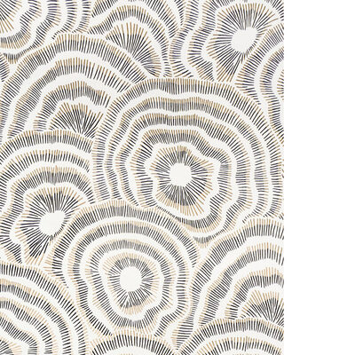 Kravet Wallcovering PANACHE WP ONYX