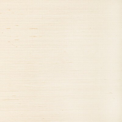 Kravet Wallcovering LUXE SISAL BONE