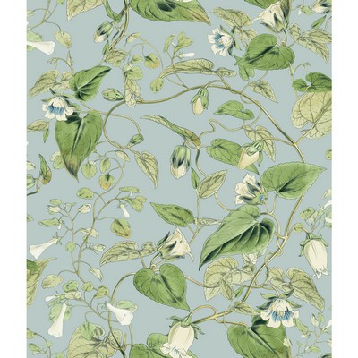 Kravet Wallcovering KRAVET DESIGN W4132-153