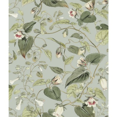 Kravet Wallcovering KRAVET DESIGN W4132-311