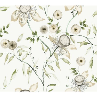 Kravet Wallcovering KRAVET DESIGN W4140-31
