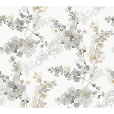 Kravet Wallcovering KRAVET DESIGN W4165-11