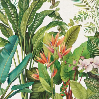 Kravet Wallcovering W4181 312