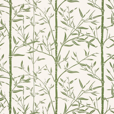 Kravet Wallcovering BAMBOO WP CACTUS
