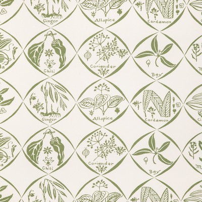 Kravet Wallcovering SPICES WP CACTUS