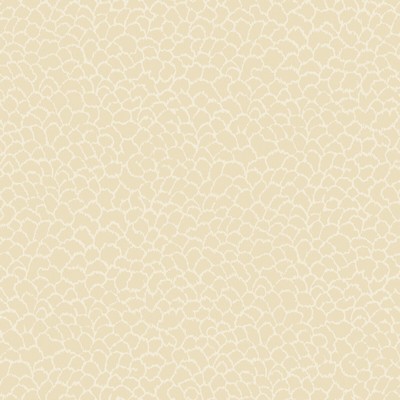 Kravet Wallcovering W4281 116