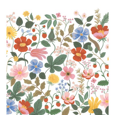 Kravet Wallcovering KRAVET DESIGN W4303-517