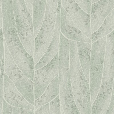 Kravet Wallcovering KRAVET DESIGN W4308-135