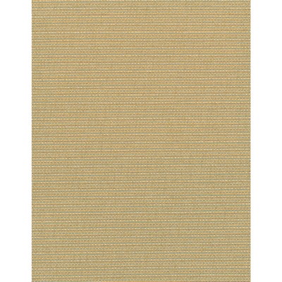 Winfield Thybony Design ELZA OLYMPUS