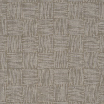 Winfield Thybony Design CROSSHATCH WEAVE HOIZON