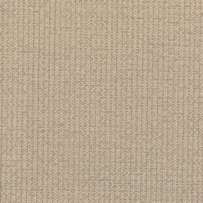Winfield Thybony Design EMELINE WOVEN DRIFT