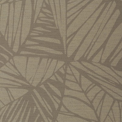 Winfield Thybony Design PHOENIX BIRCH