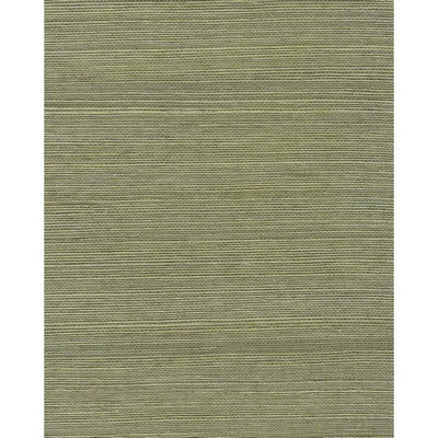 Winfield Thybony Design CHIYO SISAL MOSS