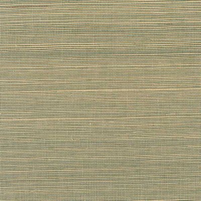 Winfield Thybony Design SOLO SISAL COOL SPRIG