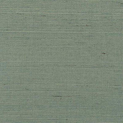 Winfield Thybony Design SOLO SISAL PEPPERMINT