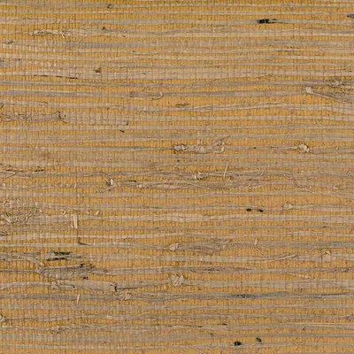 Winfield Thybony Design CONCERTO OCHRE