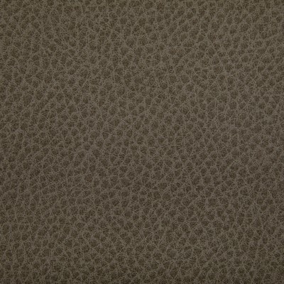 Kravet WOOLF ETRUSCAN