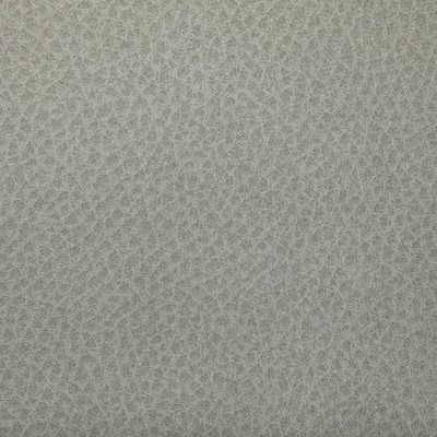 Kravet WOOLF OVERCAST