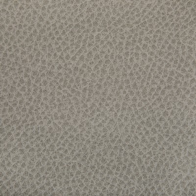 Kravet WOOLF PORCINI