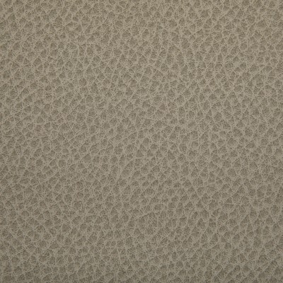 Kravet WOOLF SANDBAR