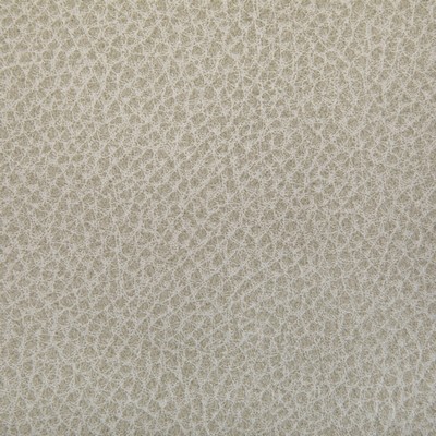 Kravet WOOLF LIMESTONE
