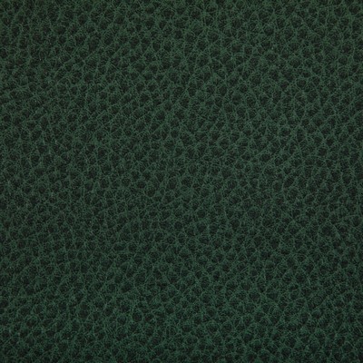 Kravet WOOLF WOODLAND