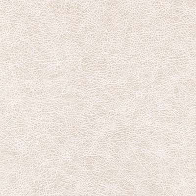 Winfield Thybony Design ENDURING DESERT