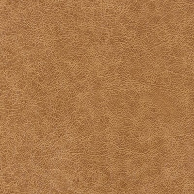 Winfield Thybony Design ENDURING COGNAC