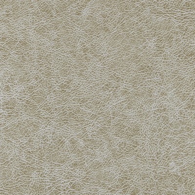 Winfield Thybony Design ENDURING CROC