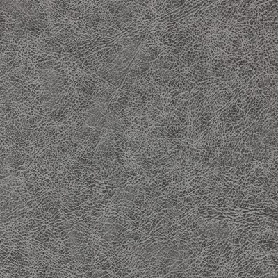 Winfield Thybony Design ENDURING CHARCOAL