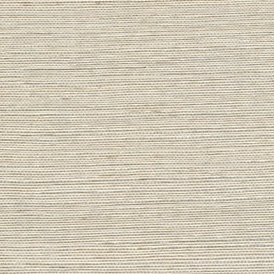 Winfield Thybony Design METALLIC SISAL PARCHMENT