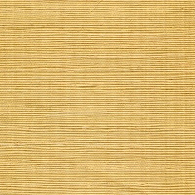 Winfield Thybony Design METALLIC SISAL BEURRE