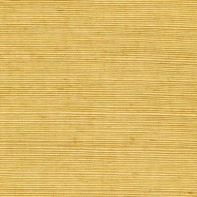 Winfield Thybony Design SISAL SAFFRON