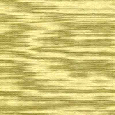 Winfield Thybony Design SISAL LEMON ZEST