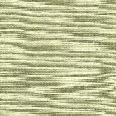 Winfield Thybony Design SISAL FERN