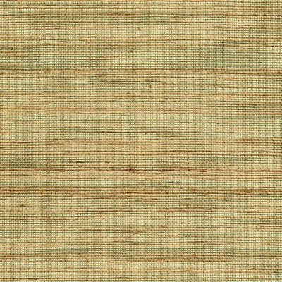Winfield Thybony Design SISAL KHAKI