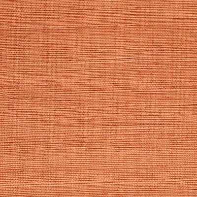 Winfield Thybony Design SISAL SPICE