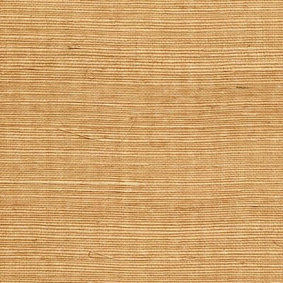 Winfield Thybony Design SISAL BUTTERSCOTCH