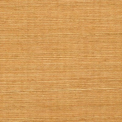 Winfield Thybony Design SISAL OCHRE