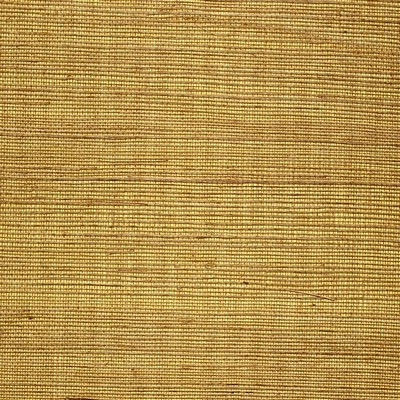 Winfield Thybony Design METALLIC SISAL GOLDENROD