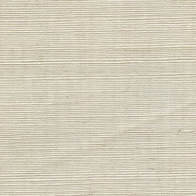 Winfield Thybony Design METALLIC SISAL SEAFOAM