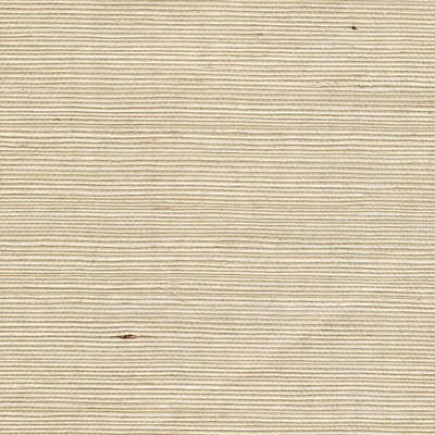 Winfield Thybony Design SISAL SPEARMINT