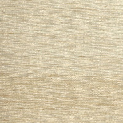 Winfield Thybony Design WINFIELD THYBONY WSW4812-WT