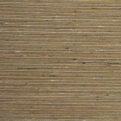 Winfield Thybony Design WINFIELD THYBONY WSW4884-WT