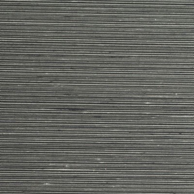 Winfield Thybony Design WINFIELD THYBONY WSW4888-WT