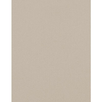 Winfield Thybony Design OPULENCE PINK SALT