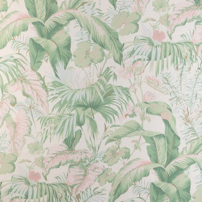 Kravet YASUNI PINK PALM