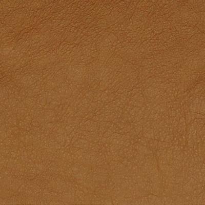 Greenhouse Fabrics 75224 DESERT SAND