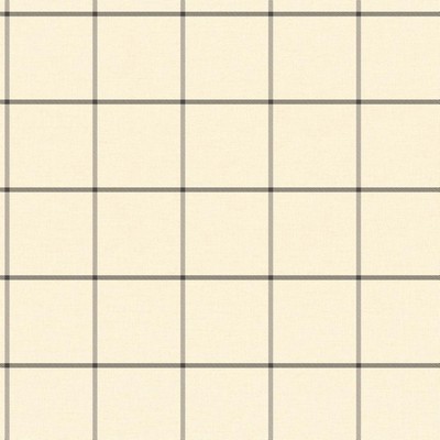 Carey Lind Menswear Olann Removable Wallpaper Blacks