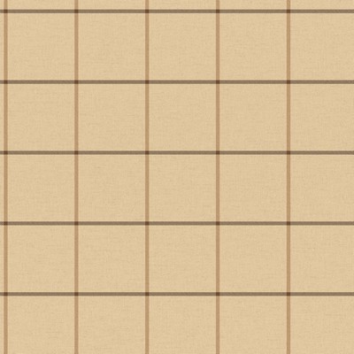 Carey Lind Menswear Olann Removable Wallpaper Browns